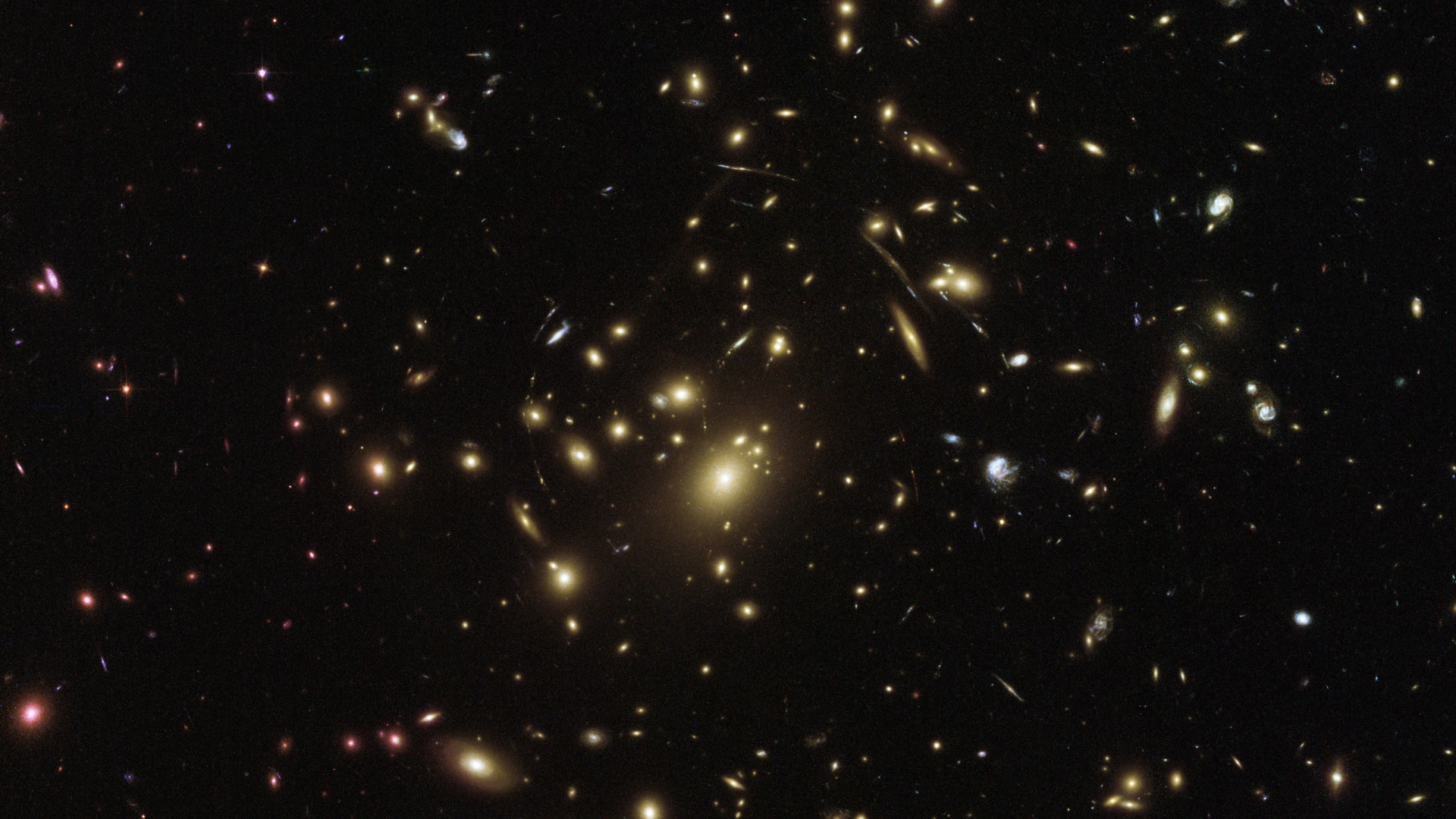 Deep space view of galaxy cluster Abell 2537, showing luminous golden elliptical galaxies and surrounding gravitational lens arcs warping background starlight.