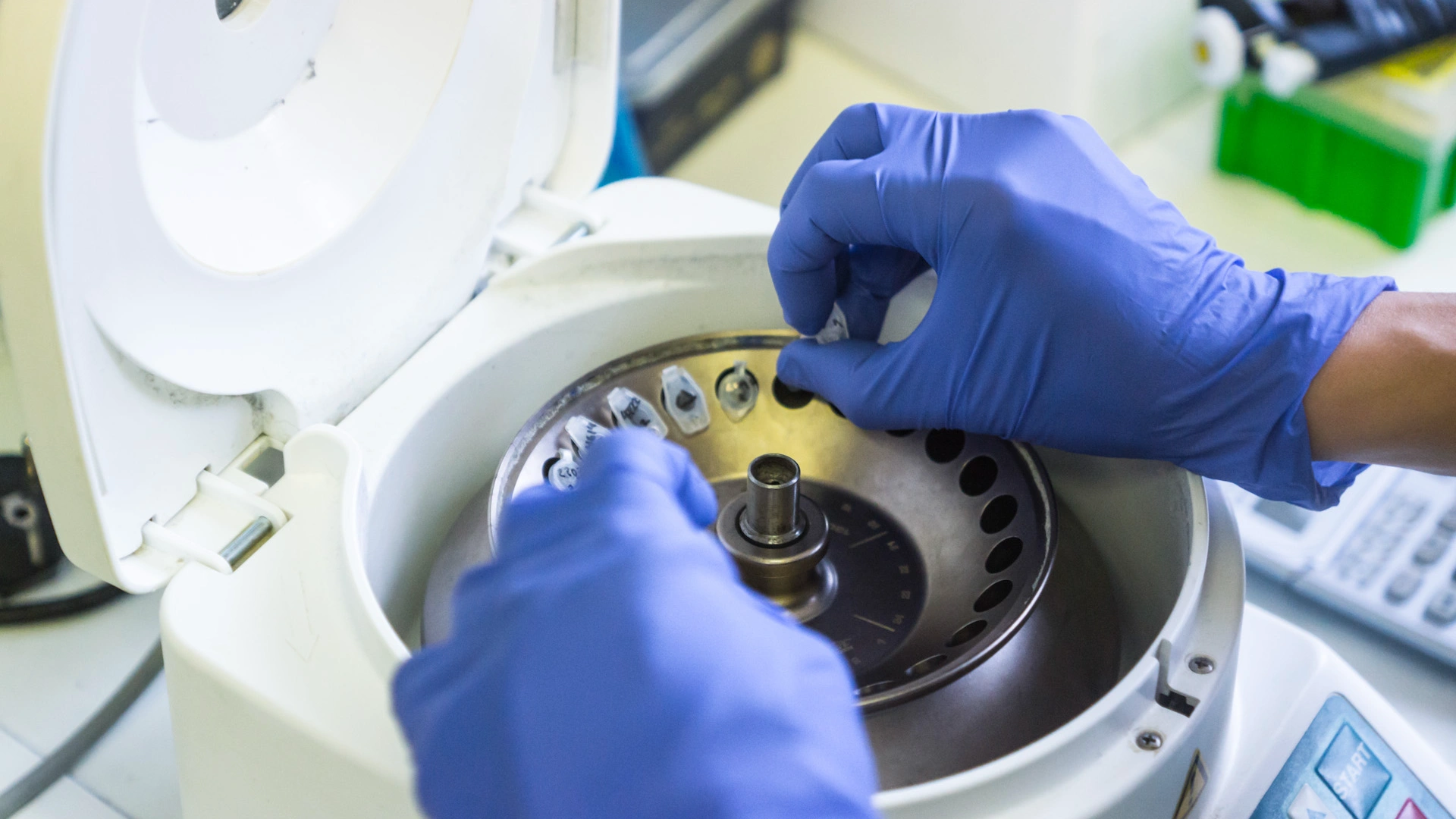 Gloved hands placing microcentrifuge test tubes into the rotor chamber of a benchtop laboratory centrifuge.