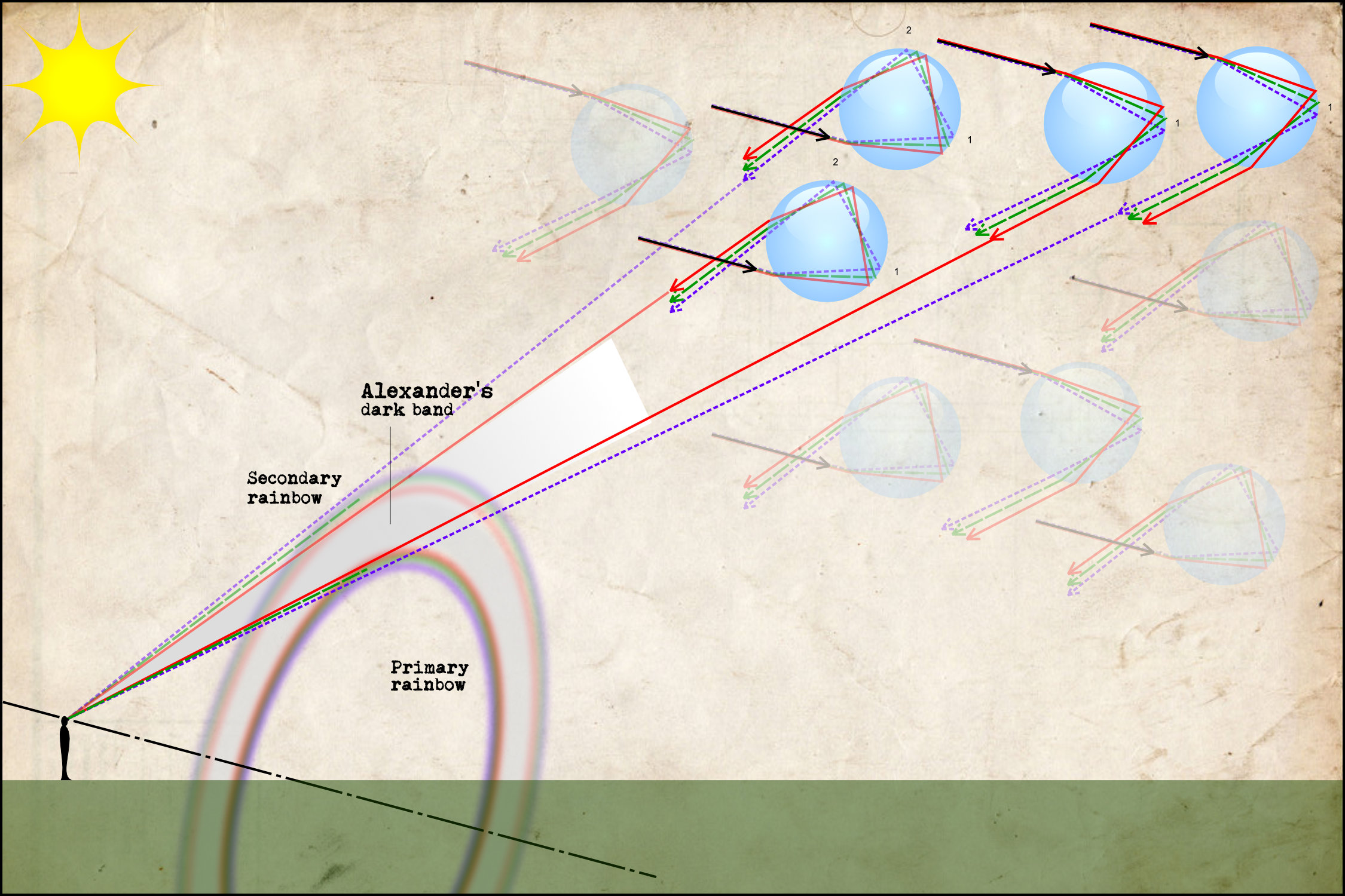 Figure 5: Internal ray paths for the primary rainbow (one internal reflection) and secondary rainbow (two internal reflections), showing the unlit Alexander’s band in between.