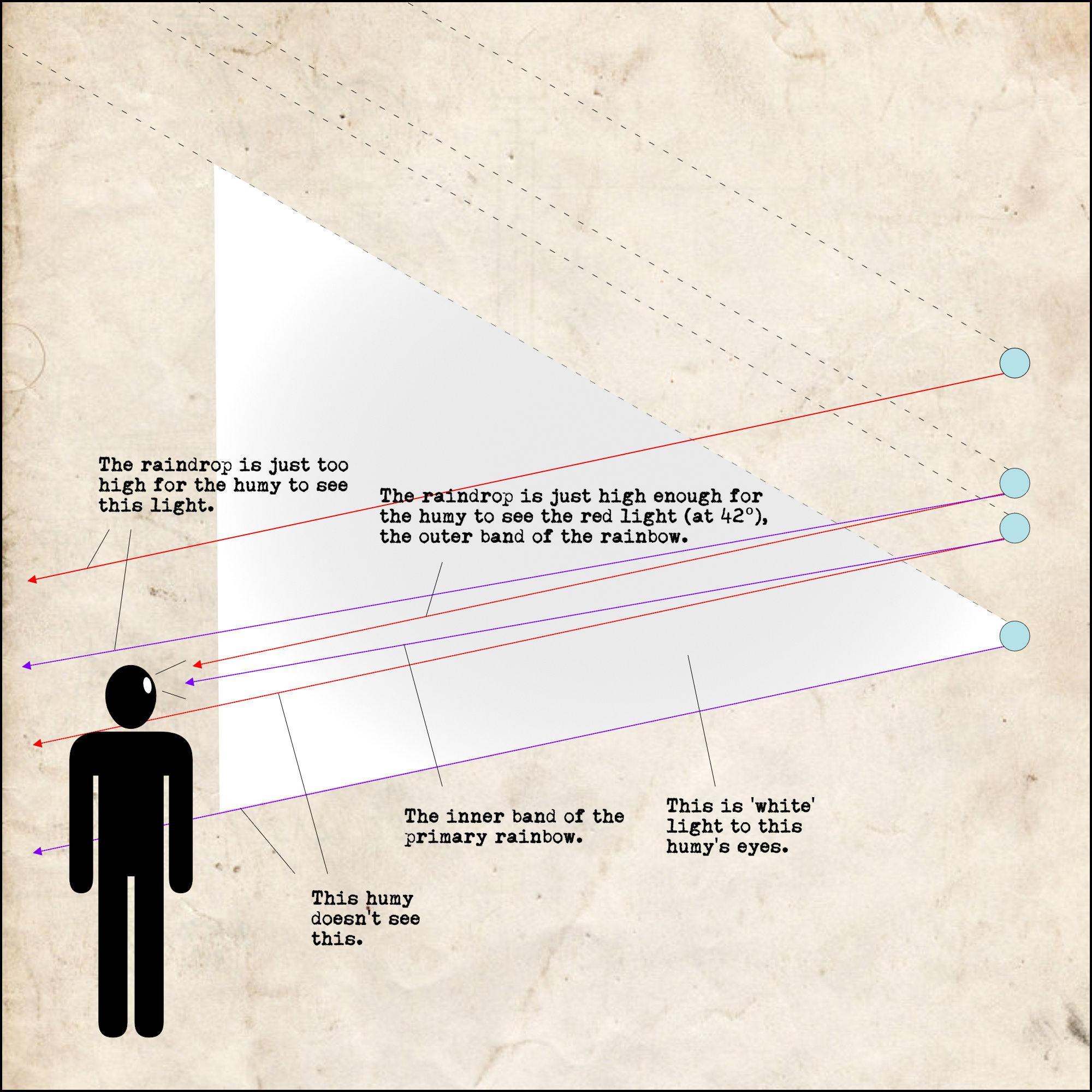 Figure 4: The cone of light rays forming the rainbow and the brighter white region beneath the primary bow where all visible wavelengths overlap.