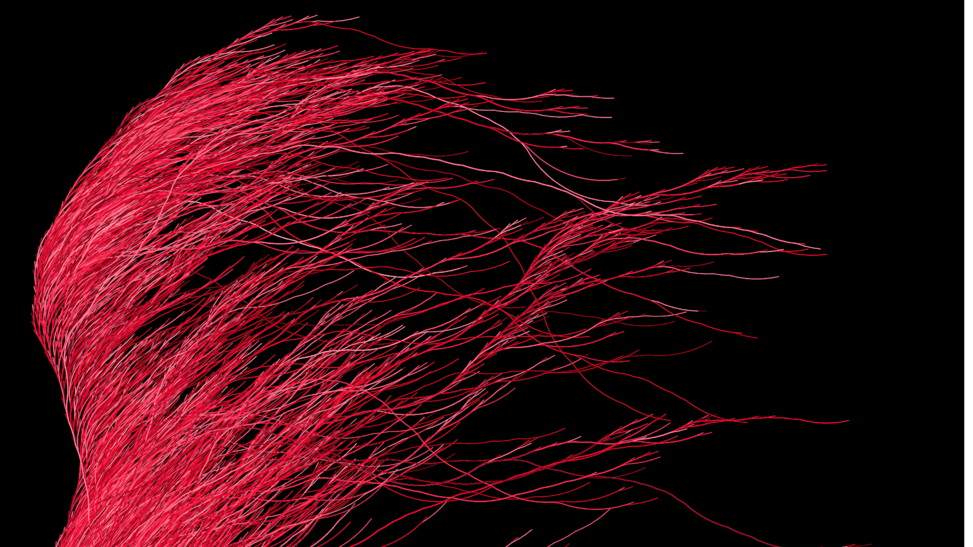 Abstract organic, sea-creature-like branching structure representing Collatz sequence trajectories